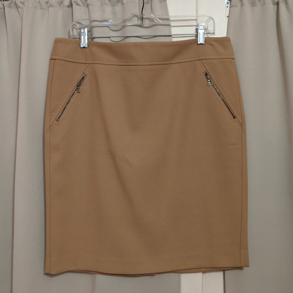 Ann Taylor Skirt